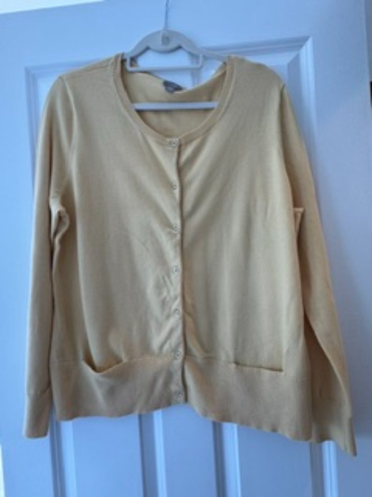 J Jill Light Weight Sweater Top Yellow